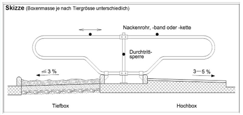 Skizze Boxenmasse
