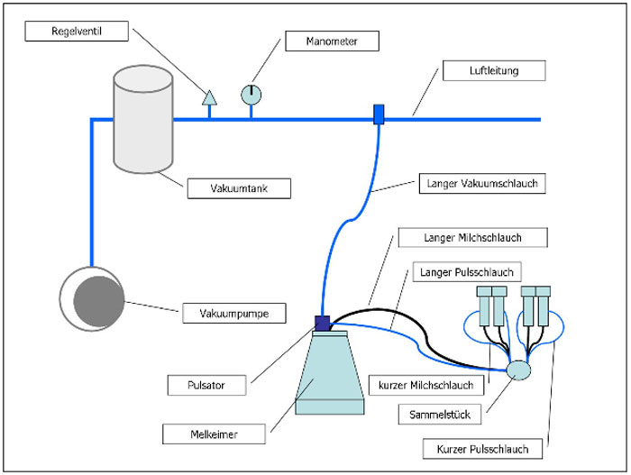 Schema Eimermelkanlage