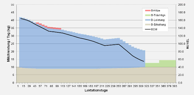 Energiebedarf einer Kuh innerhalb einer Laktation