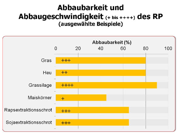 Abbaugeschwindigkeit des Rohproteins