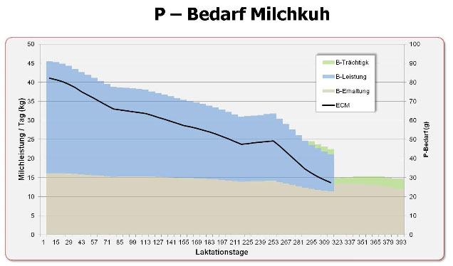 Phosphor Bedarf