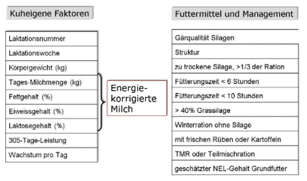 Maximaler Grundfutterverzehr