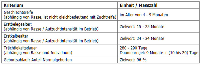 Tabelle Entwicklung Milchkühe