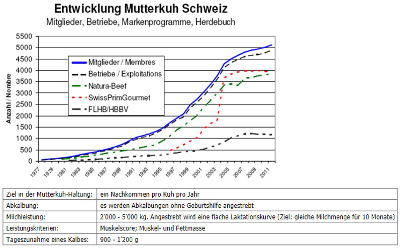 Entwicklung Mutterkühe in der Schweiz über die Jahre