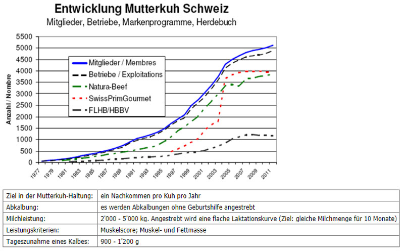 Entwicklung Mutterkühe in der Schweiz über die Jahre