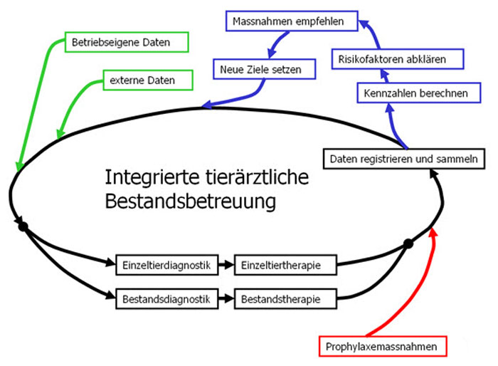 Bestandesbetreuung