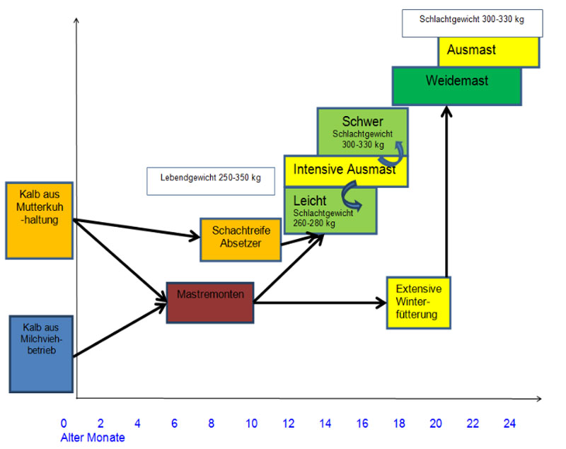 Adaptiert nach einer Grafik von I. Morel, Agroscope Liebefeld-Posieux